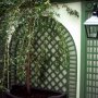 Ornate trellis scheme