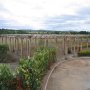 European Oak Pergola