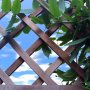 Weathered diamond overlap trellis