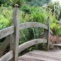 Detail of Oak Bridge in town park