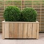 Lulworth Long with Buxus sempervirens