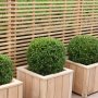 'Horizon' panels with Lulworth planters