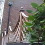 Trellis run along brick wall