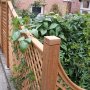 3" Diamond Overlap Trellis