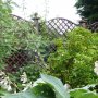 Trellis backdrop in country garden