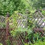 Trellis in country garden