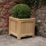 Newly designed planter
