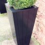 Soho Black