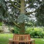 Octagonal Tree Seat (ref Sutton, Surrey)