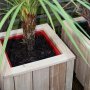 Close up of Lulworth planters