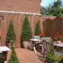 Trellis scheme for town restaurant