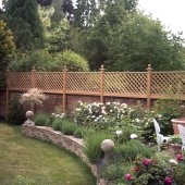 Trellis run along a wall