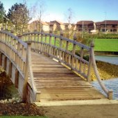 Various Bridges