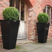 SOHO Black